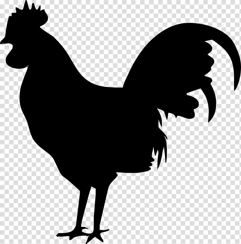 chicken rooster bird black beak, Comb, Live, Fowl, Poultry, Wing, Silhouette, Tail transparent background PNG clipart