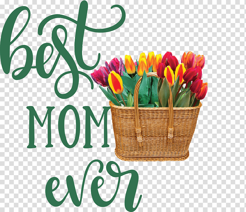 Mothers Day best mom ever Mothers Day Quote, Brother, Sticker, Gift, Sister, Text, Infant transparent background PNG clipart