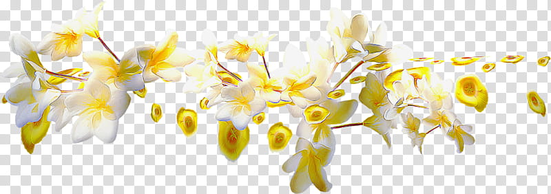 flower border flower, Flower Background, Yellow, Plant, Pollen transparent background PNG clipart