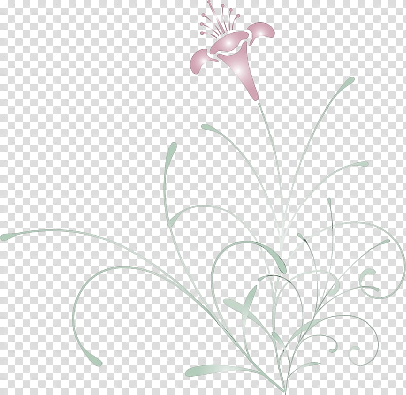 easter flower spring flower, Leaf, Plant, Pedicel, Grass, Petal, Plant Stem, Wildflower transparent background PNG clipart