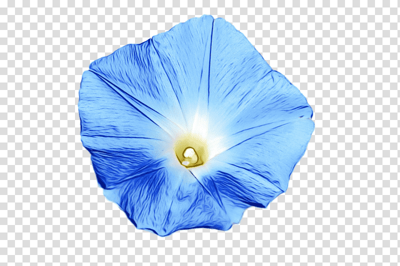 beach moonflower cobalt blue flower petal morning glory, Watercolor, Paint, Wet Ink, Microsoft Azure, Violet, Violaceae transparent background PNG clipart