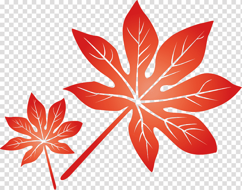 leaf, Flower, Symmetry, Petal, Maple Leaf M, Line, Tree transparent background PNG clipart