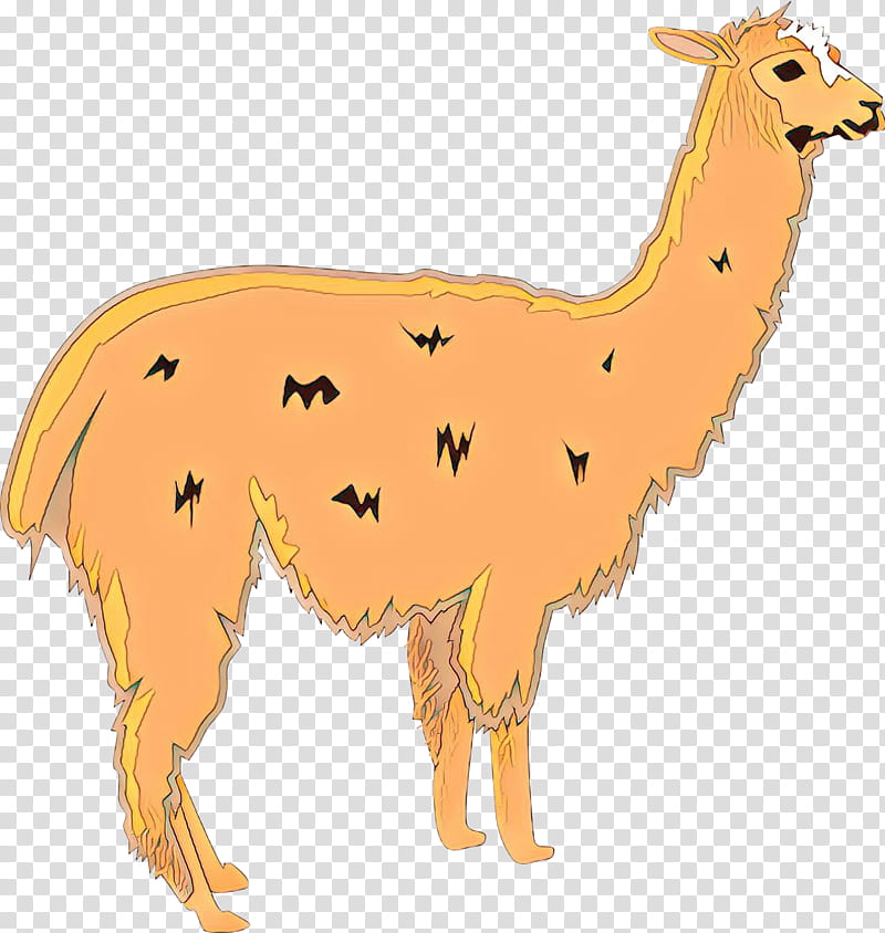 Llama, Alpaca, Drawing, Cartoon, Llama Llama, Camelid, Animal Figure, Live transparent background PNG clipart