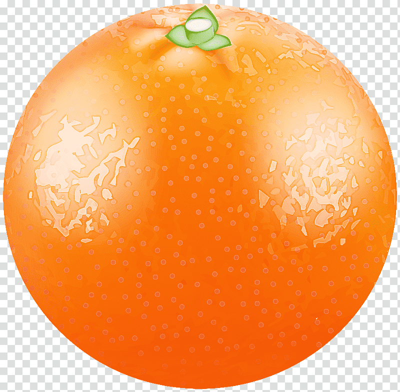 Orange, Grapefruit, Natural Food, Tangerine, Tangelo, Valencia Orange, Apple transparent background PNG clipart