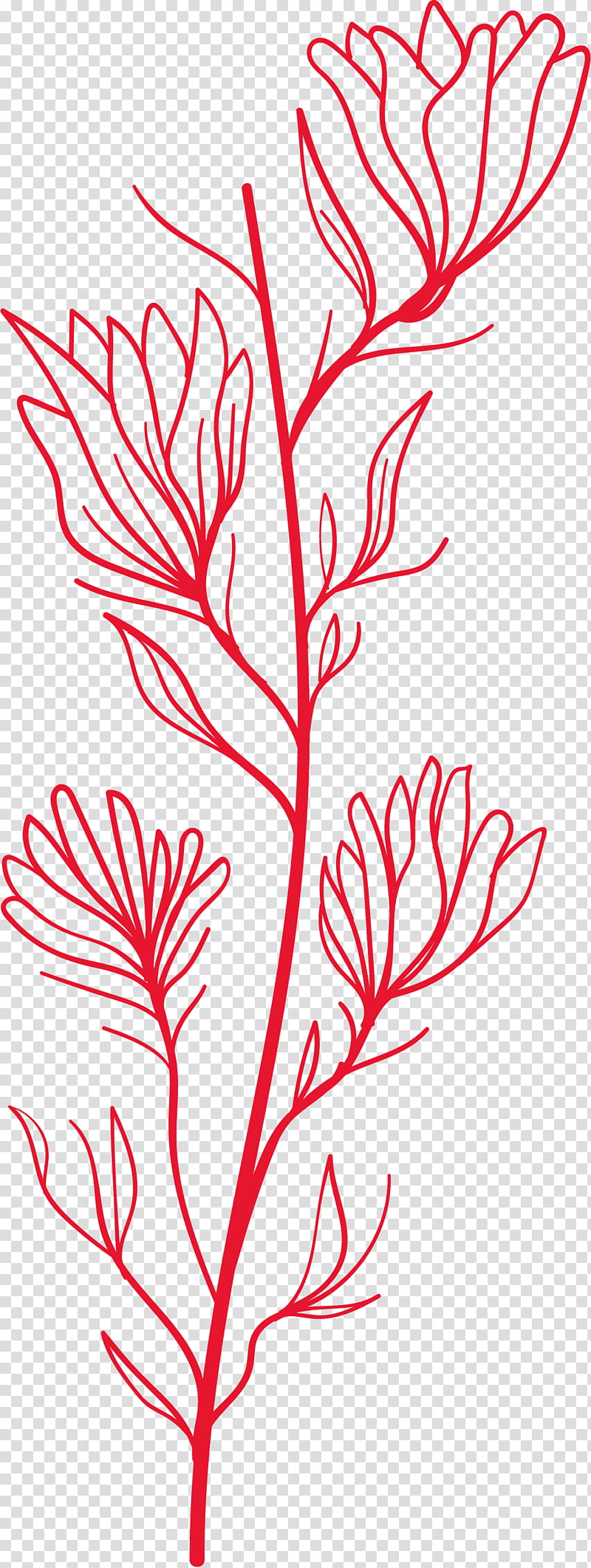 simple leaf simple leaf drawing simple leaf outline, Twig, Plant Stem, Line Art, Floral Design, Petal, Black White M, Meter transparent background PNG clipart
