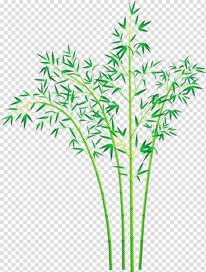 bamboo leaf, Plant, Plant Stem, Grass, Flower, Grass Family, Tree, Pedicel transparent background PNG clipart