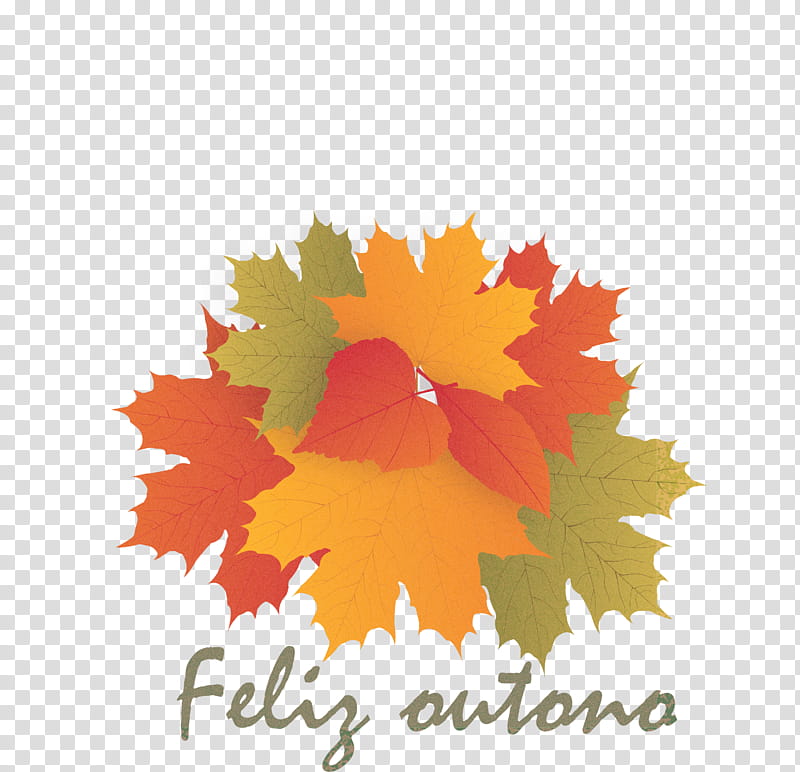 Hello Autumn Welcome Autumn Hello Fall, Welcome Fall, Leaf, Maple Leaf, Red Maple, Petal, Logo, Tree transparent background PNG clipart