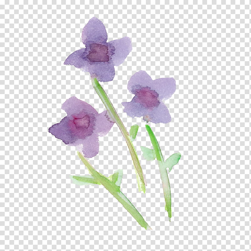 flower violet plant purple petal, Watercolor Flower, Orchid, Moth Orchid, Iris, Dendrobium, Pedicel, Sweet Peas transparent background PNG clipart