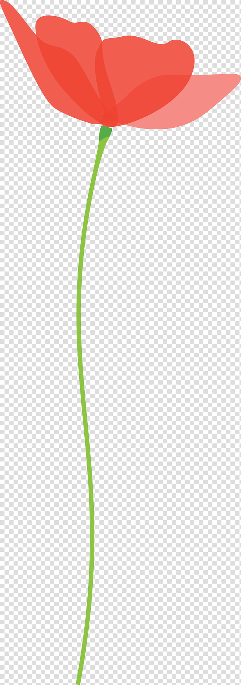 poppy flower, Green, Leaf, Grass Family, Line, Plant, Plant Stem transparent background PNG clipart