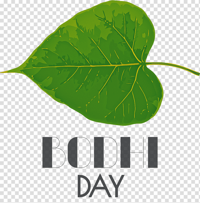 Bodhi Day Bodhi, Leaf, Plant Stem, Meter, Plants, Biology, Plant Structure transparent background PNG clipart