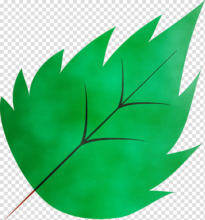 circle trigonometry analytic geometry line leaf, Autumn Leaf, Autumn Color, Watercolor, Paint, Wet Ink, Plant Stem, Vegetable transparent background PNG clipart
