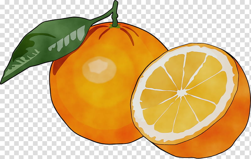 Orange, Watercolor, Paint, Wet Ink, Mandarin Orange, Lemon, Grapefruit, Blood Orange transparent background PNG clipart