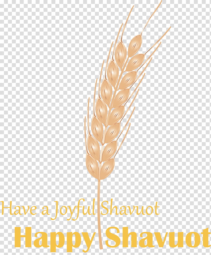 Feather, Happy Shavuot, Shovuos, Watercolor, Paint, Wet Ink, Quill, Grass Family transparent background PNG clipart