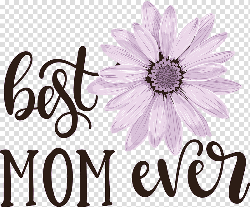 Mothers Day best mom ever Mothers Day Quote, Flower, Floral Design, Rose, Purple, Cut Flowers, Common Daisy transparent background PNG clipart