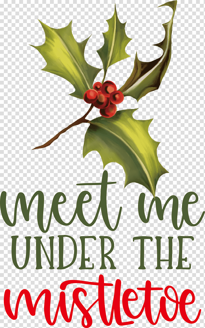 Meet Me Under The Mistletoe Mistletoe, Holly, Leaf, Flower, Meter, Mtree, Fruit transparent background PNG clipart