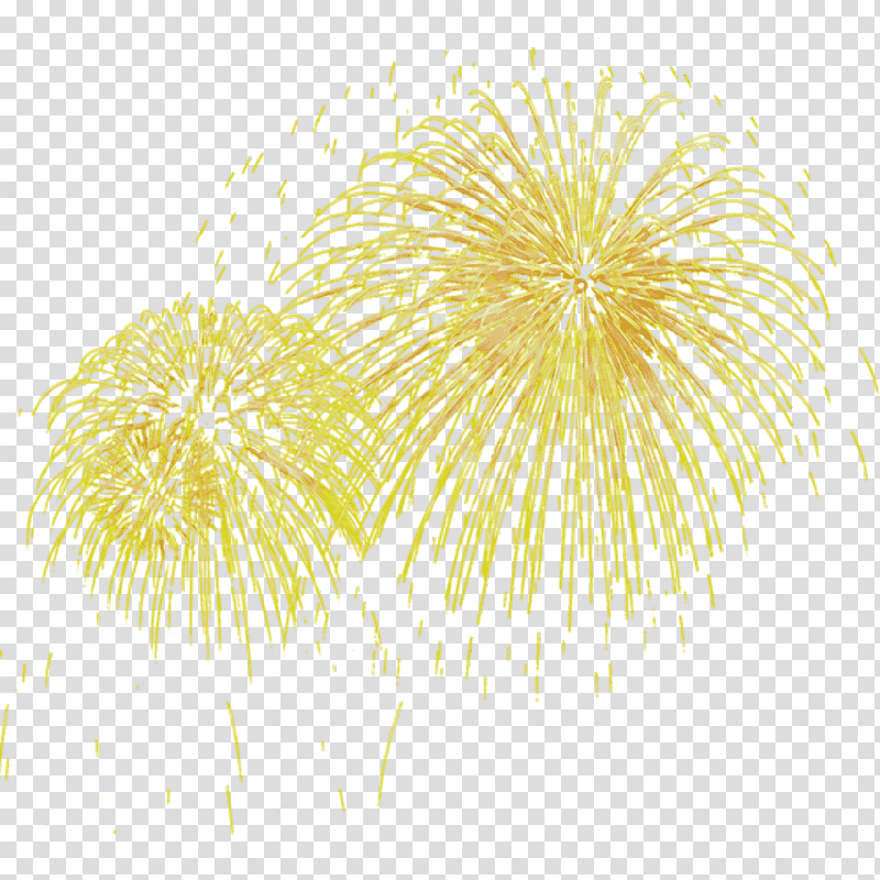 fireworks toutiao gratis festival event g, Watercolor, Paint, Wet Ink, Computer, Creativity, Learning transparent background PNG clipart