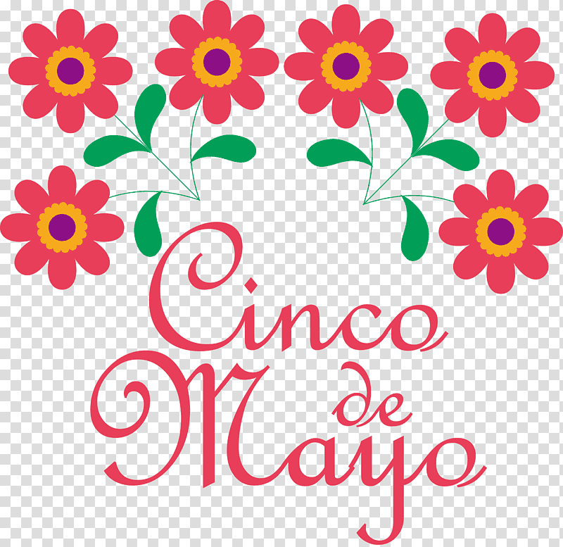 Cinco de Mayo Fifth of May, Floral Design, Flower, Royaltyfree, Cut Flowers, Common Daisy, Red transparent background PNG clipart