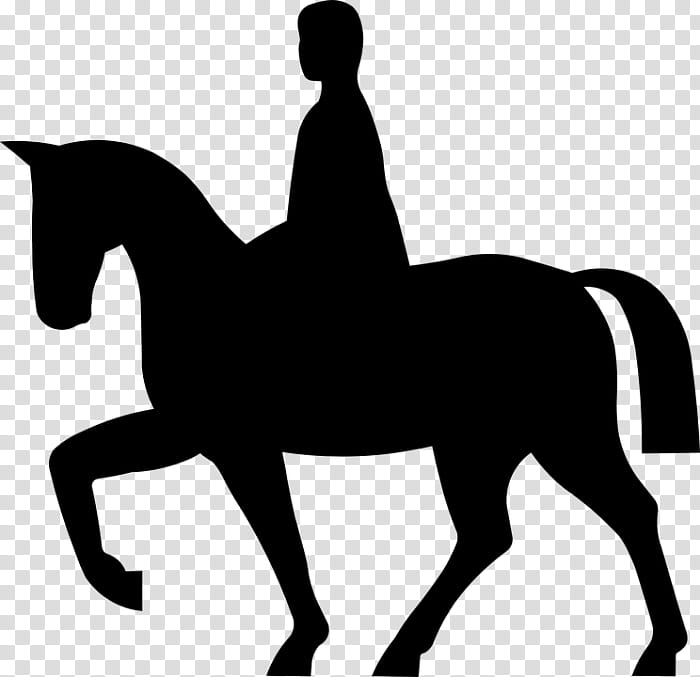 Horse, Equestrian, Horserider, Riding Horse, Dressage, English Riding, Equestrianism, Animal Sports transparent background PNG clipart