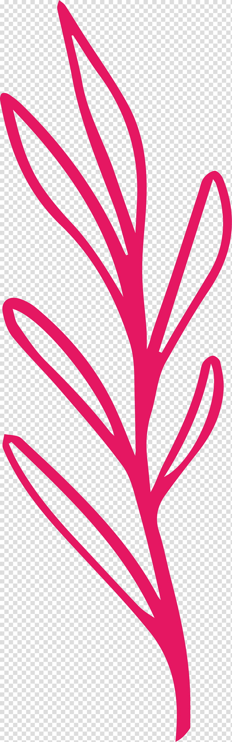 simple leaf simple leaf drawing simple leaf outline, Plant Stem, Line Art, Pink M, Mtree, Meter, Flower, Plants transparent background PNG clipart