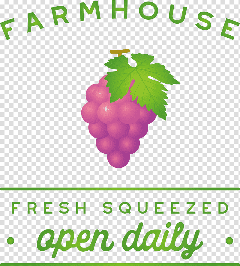 farmhouse fresh squeezed open daily, Grape, Leaf, Grapevines, Green, Meter, Tree transparent background PNG clipart