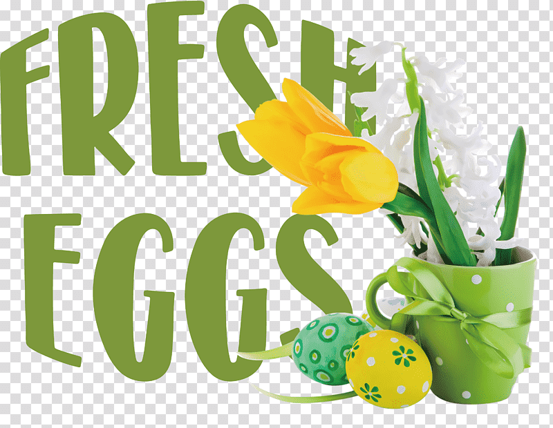Fresh Eggs, Flower, Yellow, Meter, Fruit, Plant, Biology transparent background PNG clipart