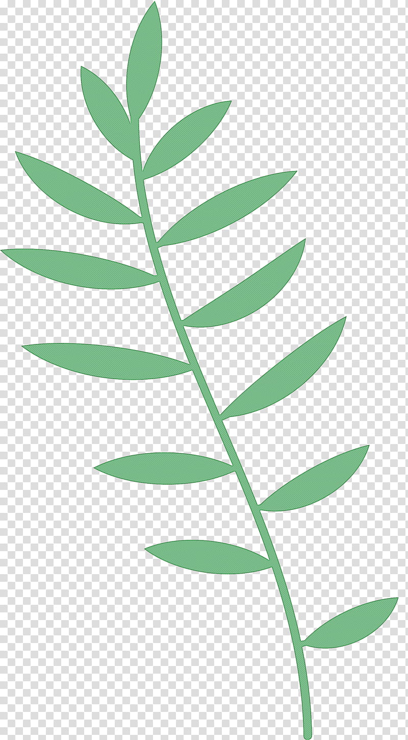 plant stem leaf tree herbaceous plant petal, Leaf Cartoon, Leaf , Leaf Abstract, Houseplant, Branch, Woody Plant, Cranesbill transparent background PNG clipart