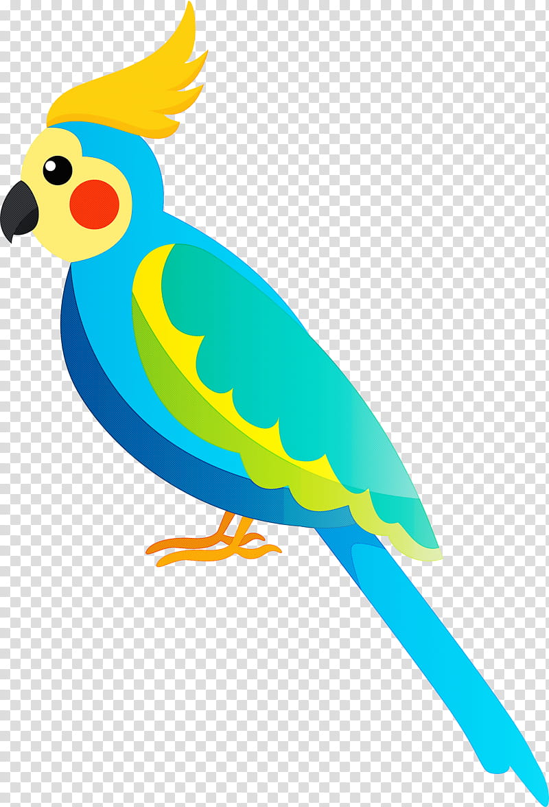 birds budgerigar scarlet macaw cockatiel parrots, Bird Cartoon, Cute Bird, Jandaya Parakeet, Painted Parakeet, Beak, Macaws, True Parrot transparent background PNG clipart