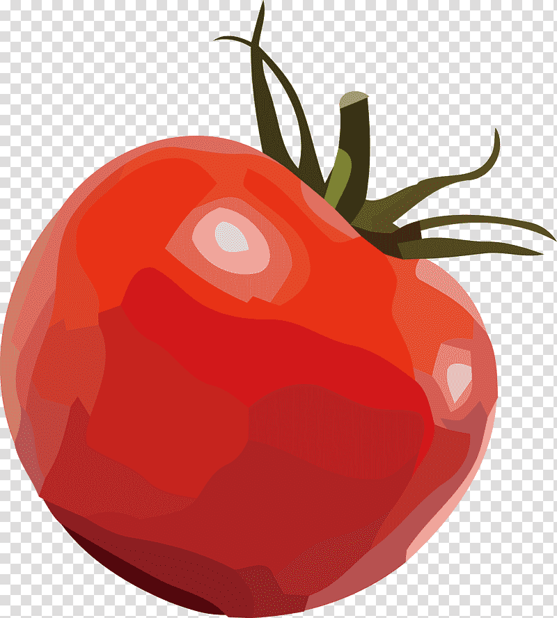 Tomato, Bush Tomato, Natural Food, Pimiento, Peperoncino, Datterino Tomato, Plant transparent background PNG clipart