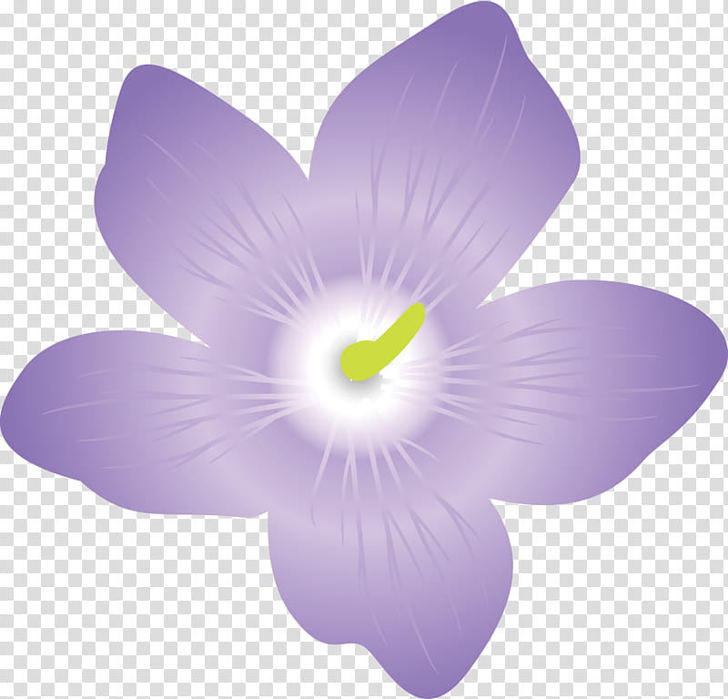 violet flower, Petal, Lavender, Herbaceous Plant, Violaceae, Plants, Seed Plants, Science transparent background PNG clipart