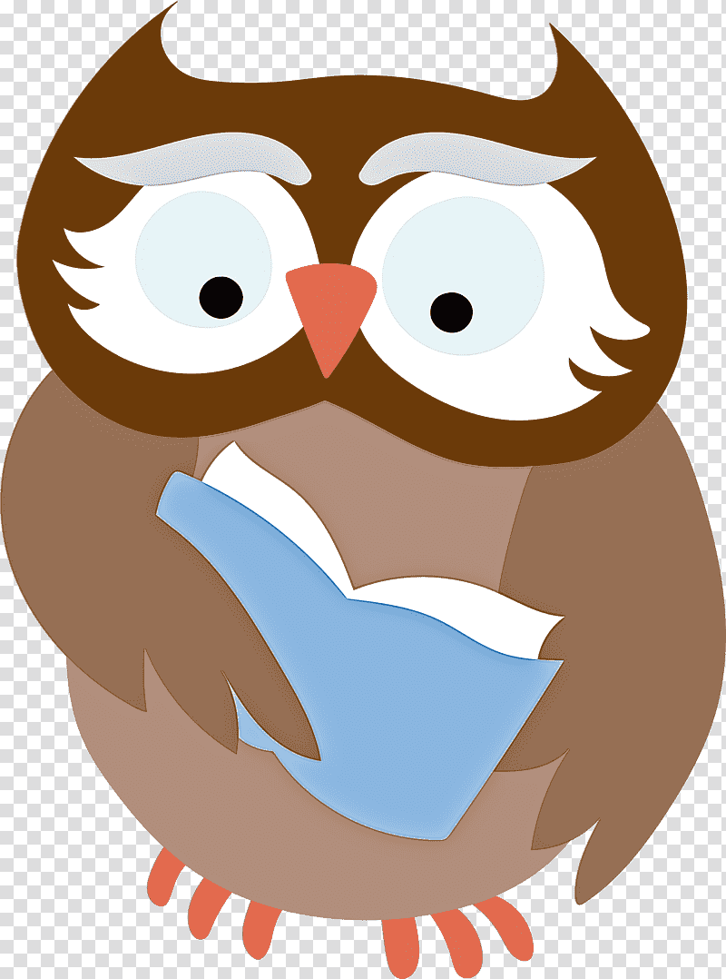 owls birds beak bird of prey, Cartoon Owl, Cute Owl, Owl , Animation, Drawing, Little Owl transparent background PNG clipart