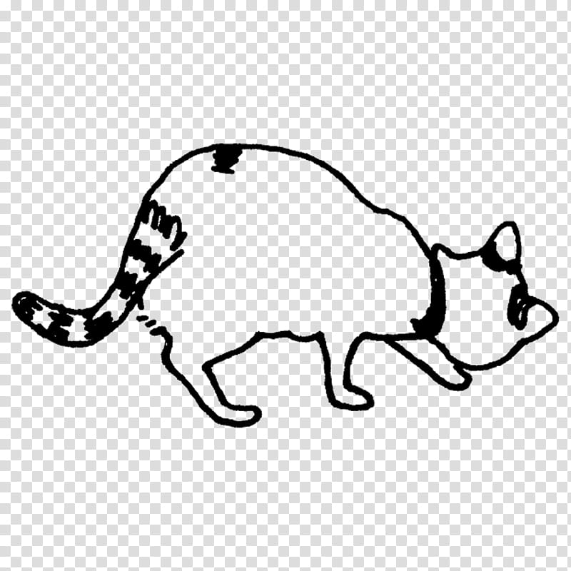 whiskers cat dog snout paw, Meter, Tail, Shoe, Line, Walking, Biology transparent background PNG clipart