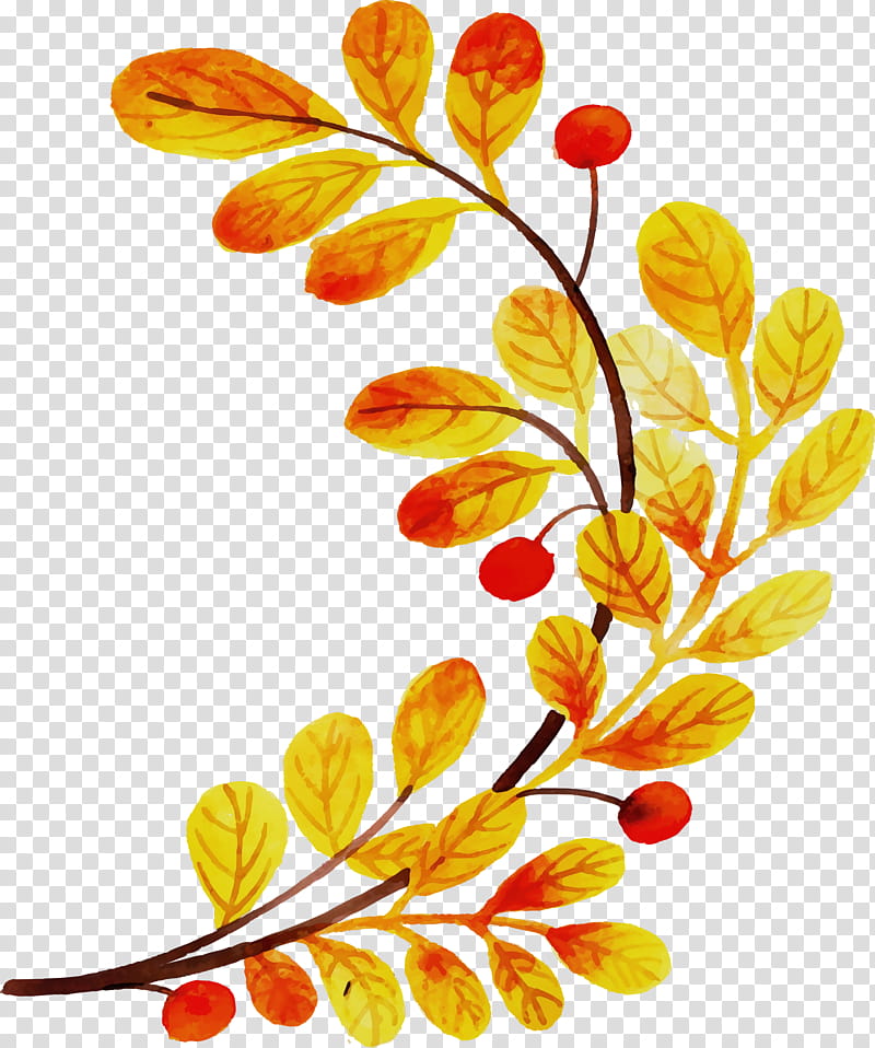 Floral design, Autumn Leaf, COLORFUL LEAF, Watercolor, Paint, Wet Ink, Yellow, Petal transparent background PNG clipart