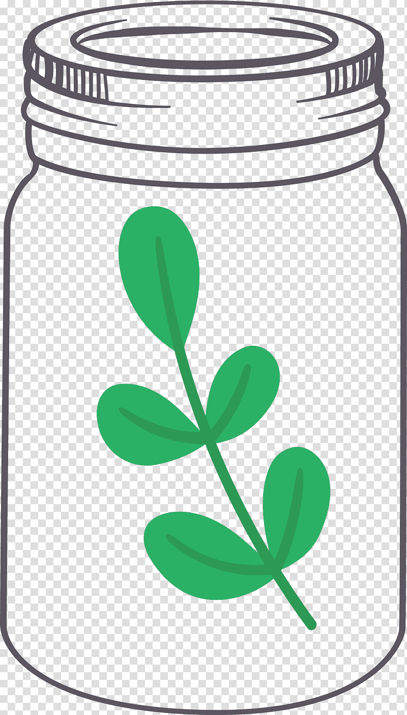 MASON JAR, Leaf, Green, Line, Meter, Plant Structure, Geometry transparent background PNG clipart