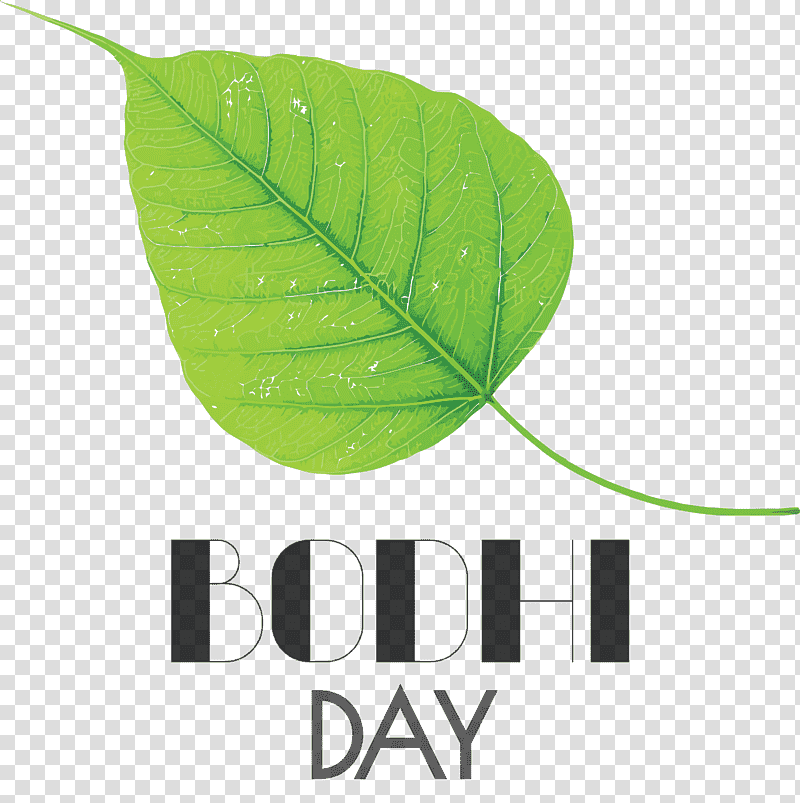 Bodhi Day Bodhi, Leaf, Plant Stem, Logo, Green, Meter, Line transparent background PNG clipart