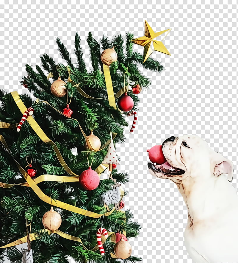 Family Tree Design, Cute Dog, Pet, Animal, Seagarden As, Christmas Tree, Head Hair, Nail transparent background PNG clipart