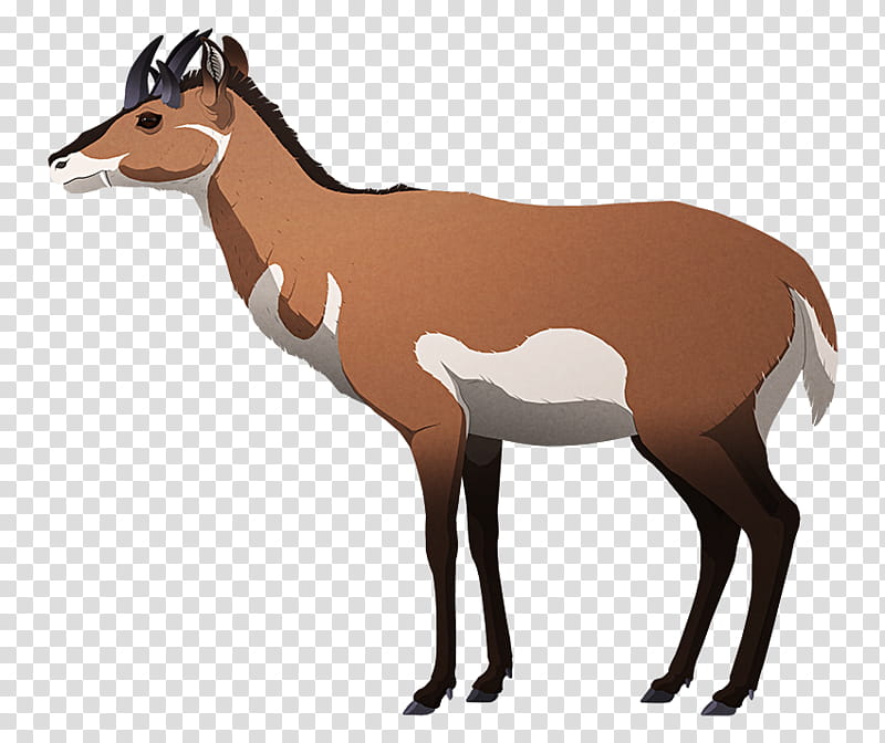 wildlife antelope animal figure pronghorn fawn, Chamois transparent background PNG clipart