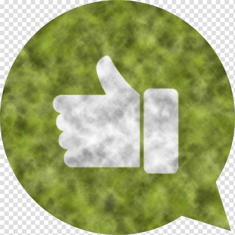 Facebook Like, Leaf, Golf Ball, Green, Mtree, Plants, Plant Structure, Biology transparent background PNG clipart