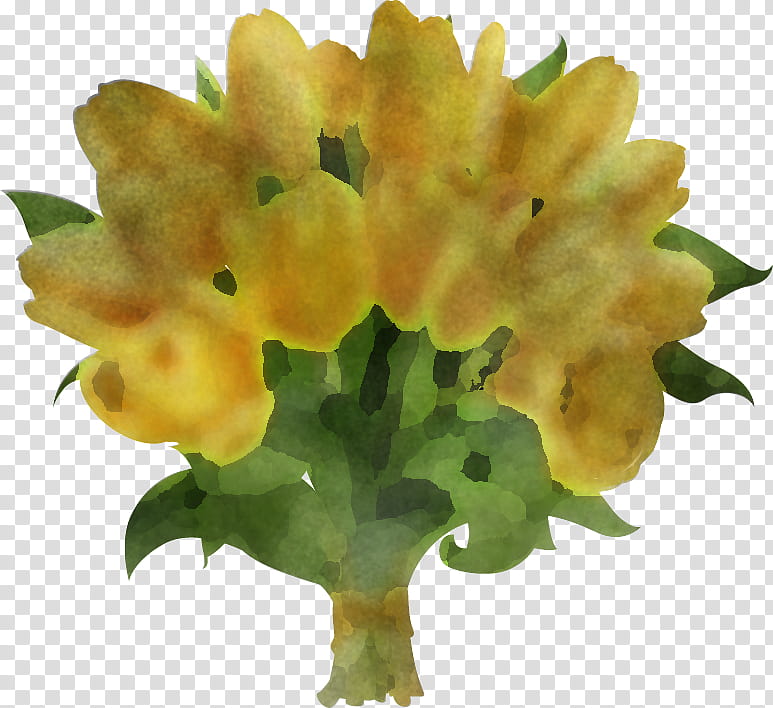 flower yellow plant petal lantana transparent background PNG clipart