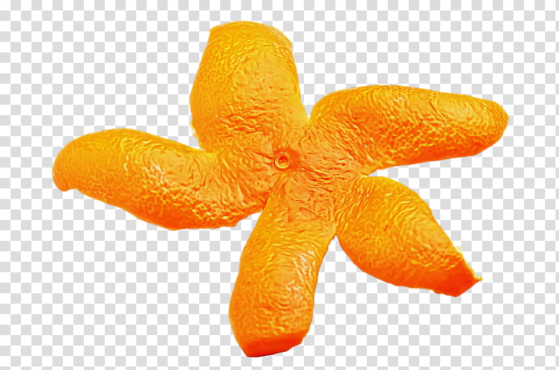 Orange, Orange Sa, Clementine, Line Art, Mandarin Orange, Chenpi, Meter, Peel transparent background PNG clipart