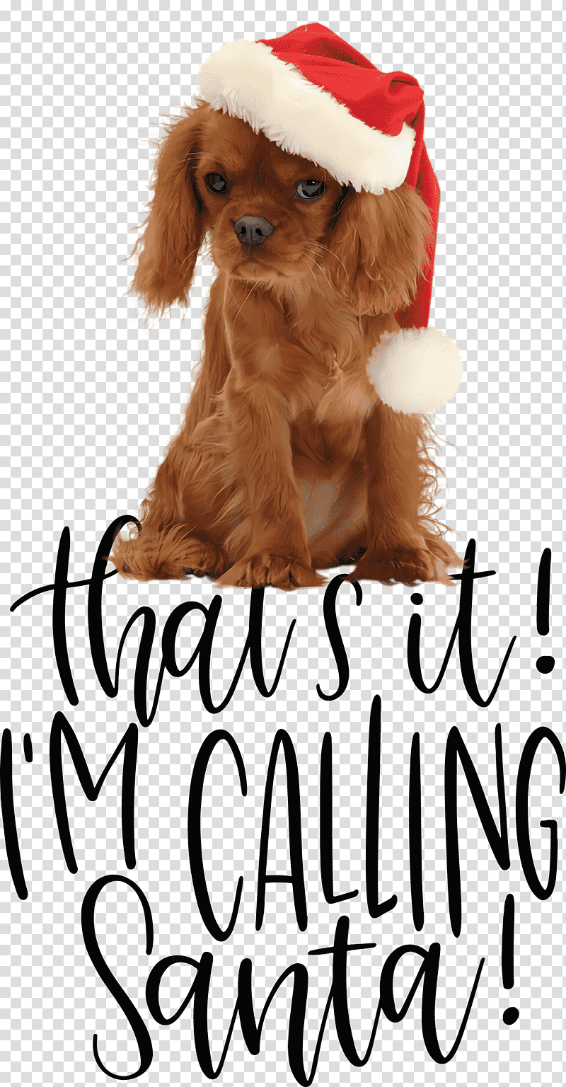 Calling Santa Santa Christmas, Christmas , Dog, Puppy, Snout, Spaniel, Companion Dog transparent background PNG clipart