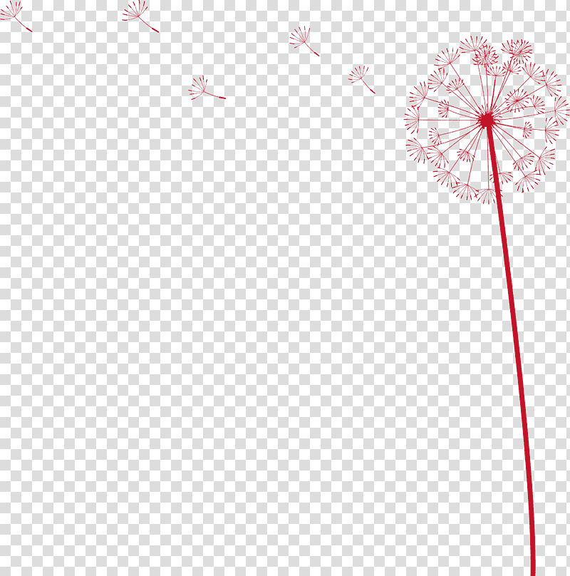 dandelion, Flower, Petal, Red, Meter, Line, Plants transparent background PNG clipart