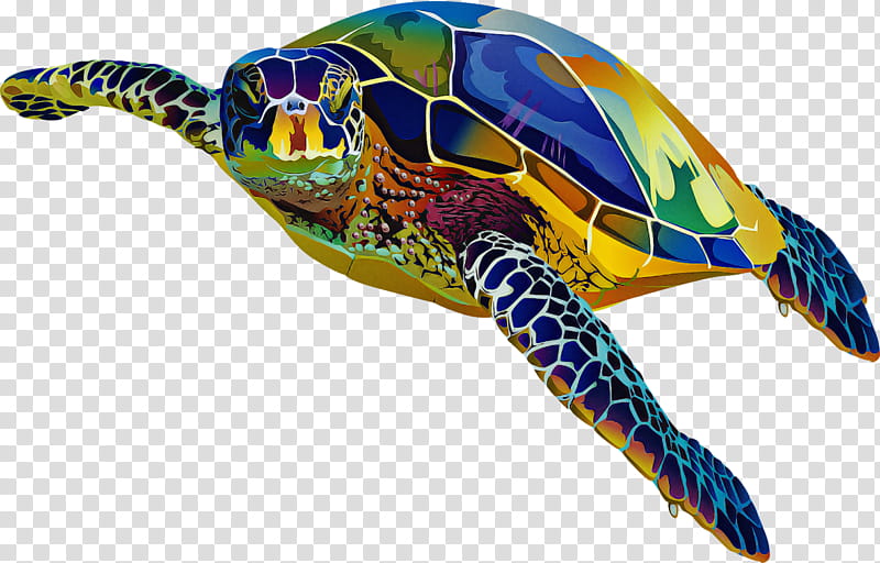 loggerhead sea turtle turtles reptiles tortoise sea turtles, Box Turtles, Frogs, Gastropods, Tortoise M, Pond Turtles, Caretta transparent background PNG clipart