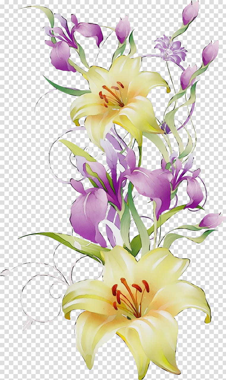 Floral design, Watercolor, Paint, Wet Ink, Flower Bouquet, Plant Stem, Cut Flowers, Iris Family transparent background PNG clipart