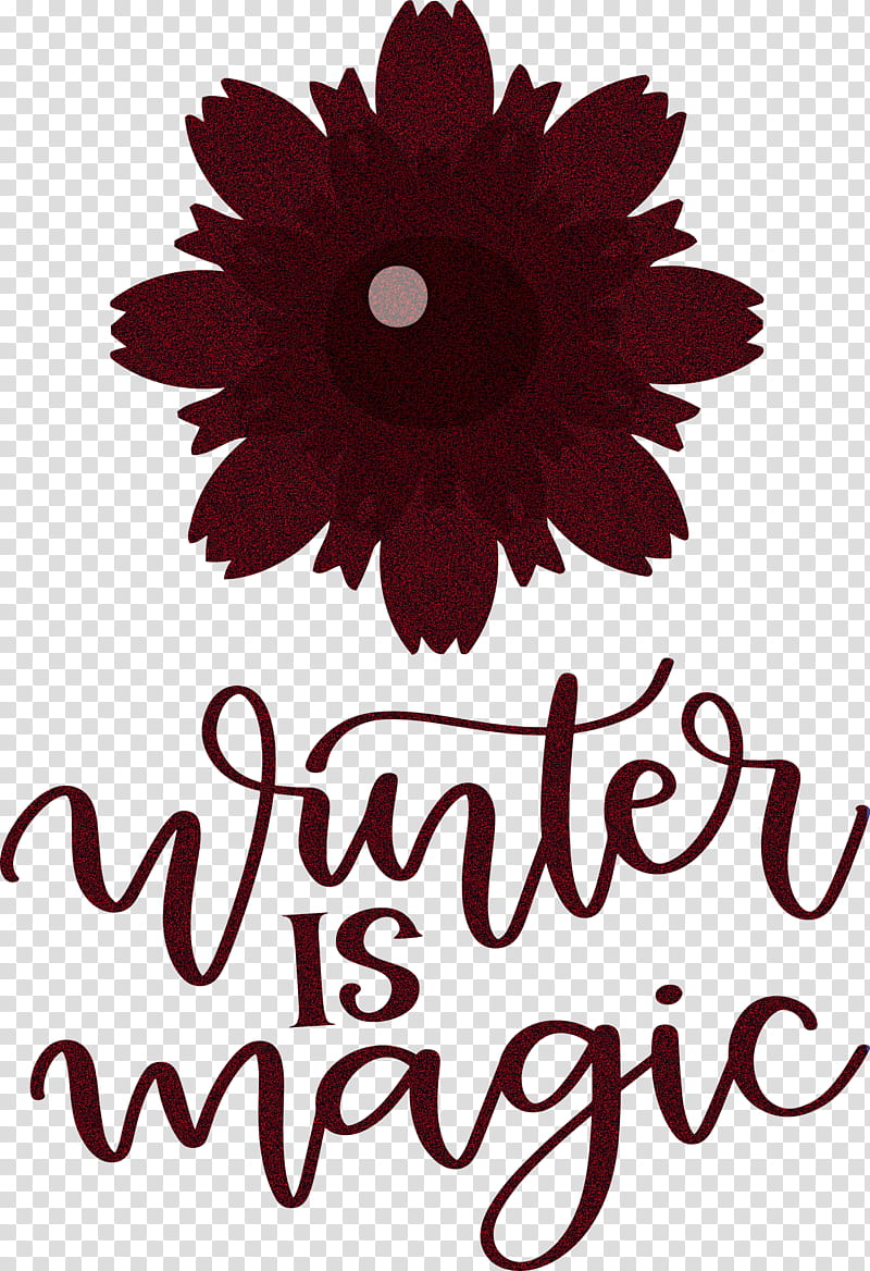 Winter Is Magic Hello Winter Winter, Winter
, Floral Design, Daisy Family, Cut Flowers, Petal, Text transparent background PNG clipart