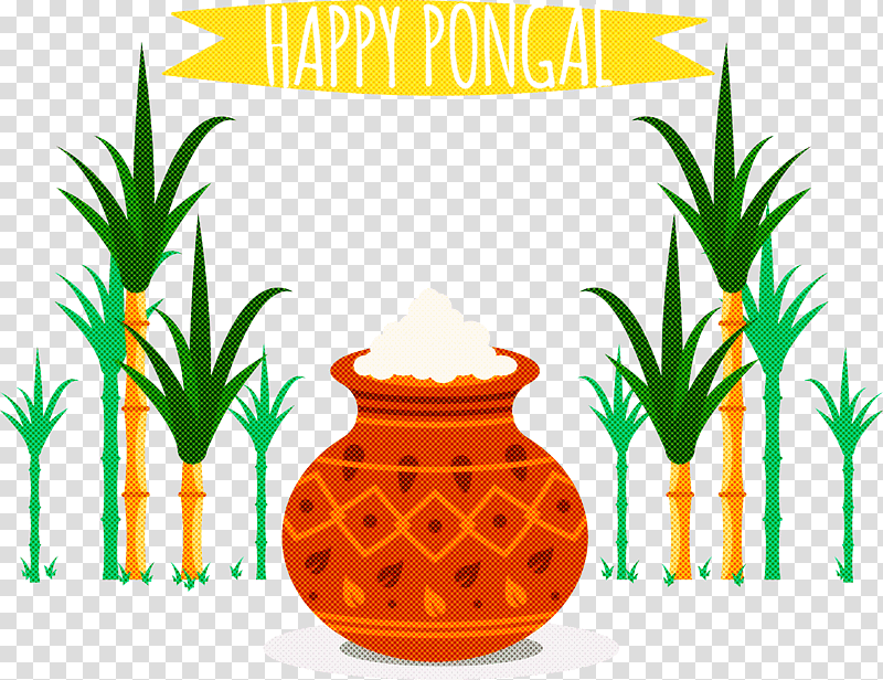 pongal, Pineapple, Flowerpot, Sugar, Houseplant, Sugarcane, Pineapples transparent background PNG clipart