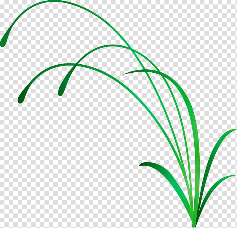 green leaf plant grass grass family, Flower Frame, Decoration Frame, Watercolor, Paint, Wet Ink, Line, Plant Stem transparent background PNG clipart