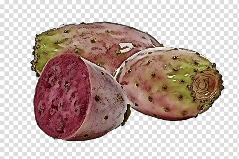 barbary fig fruit fig cuisine ownership, Tuber, Valore Nutritivo, Nutritiology transparent background PNG clipart