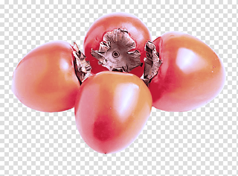Tomato, Plant, Datterino Tomato, Fruit, Cranberry, Closeup, Science transparent background PNG clipart