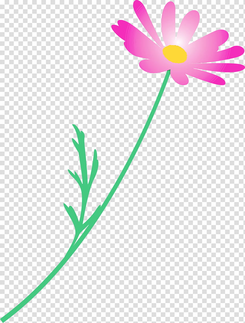 flower pedicel plant chamomile plant stem, Marguerite Flower, Spring Flower, Watercolor, Paint, Wet Ink, Petal, Wildflower transparent background PNG clipart
