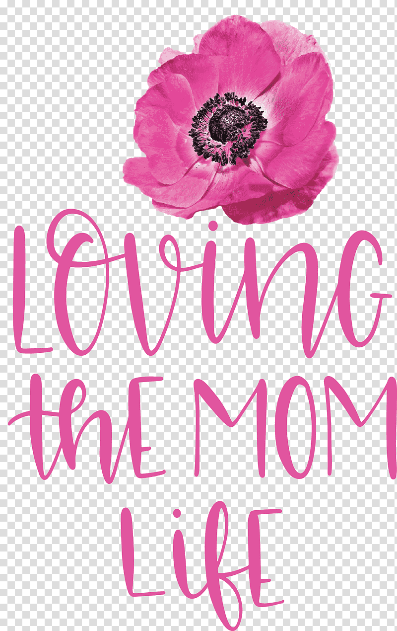 Mothers Day Mothers Day Quote Loving The Mom Life, Floral Design, Cut Flowers, Rose Family, Herbaceous Plant, Petal, Meter transparent background PNG clipart